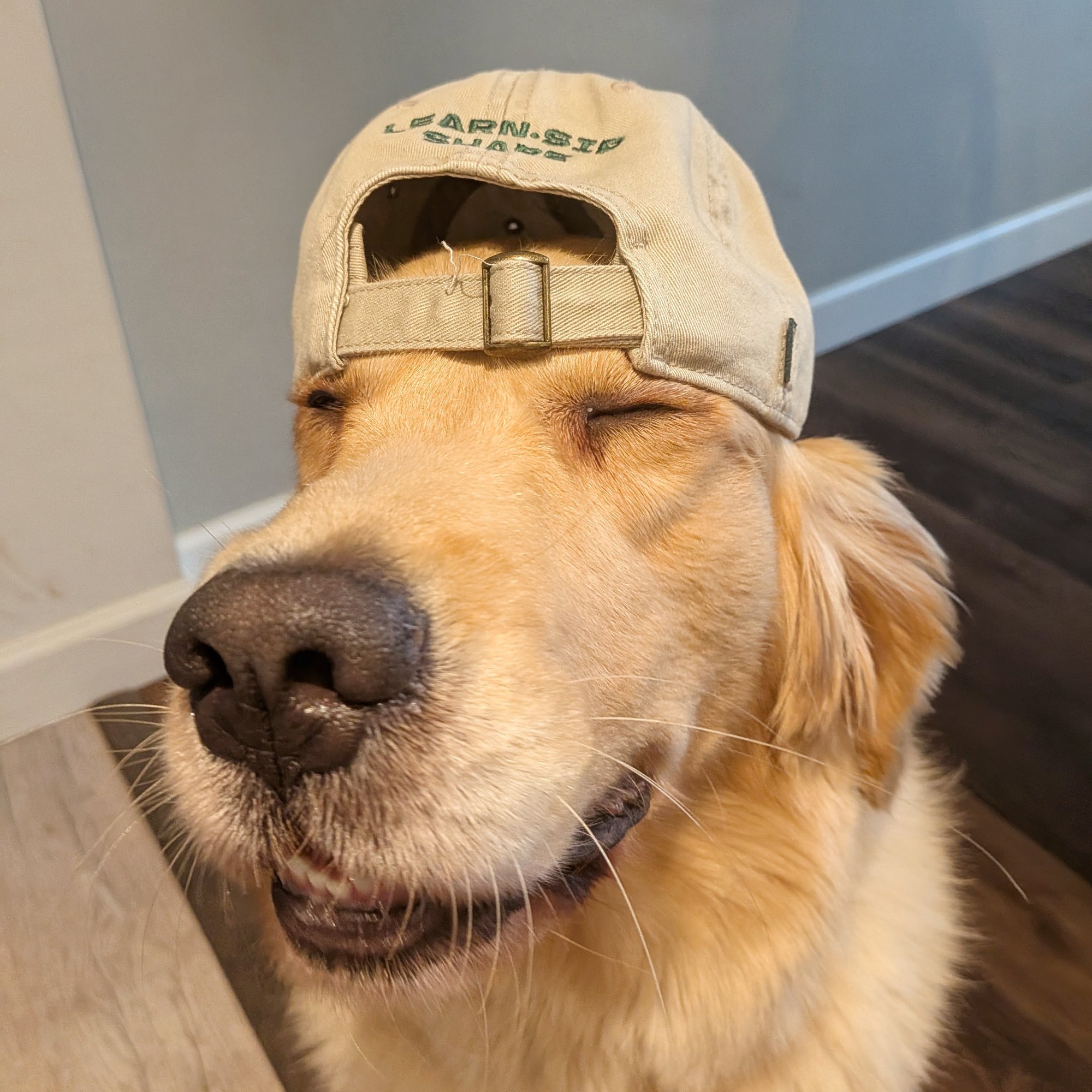 OCC Baseball Cap - Khaki